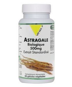 Astragale 500mg - extrait standardisé